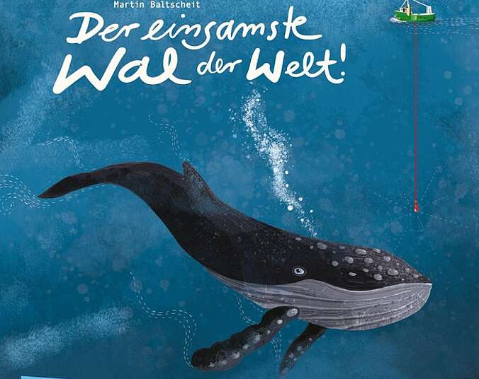 Ein einsamer Wal schwimmt allein im Meer.