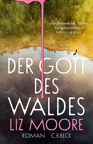 Vogelperspektive eines Waldes an einem See. Eine einsame Person läuft dort entlang.